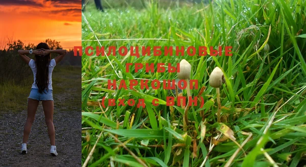 марки lsd Зерноград