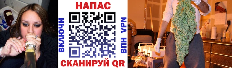 Конопля конопля  Купить  Вольск 
